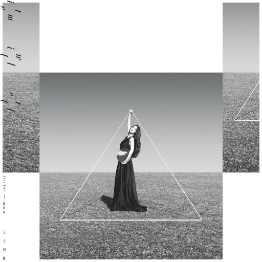 黄软件下载黄网站在线观看
